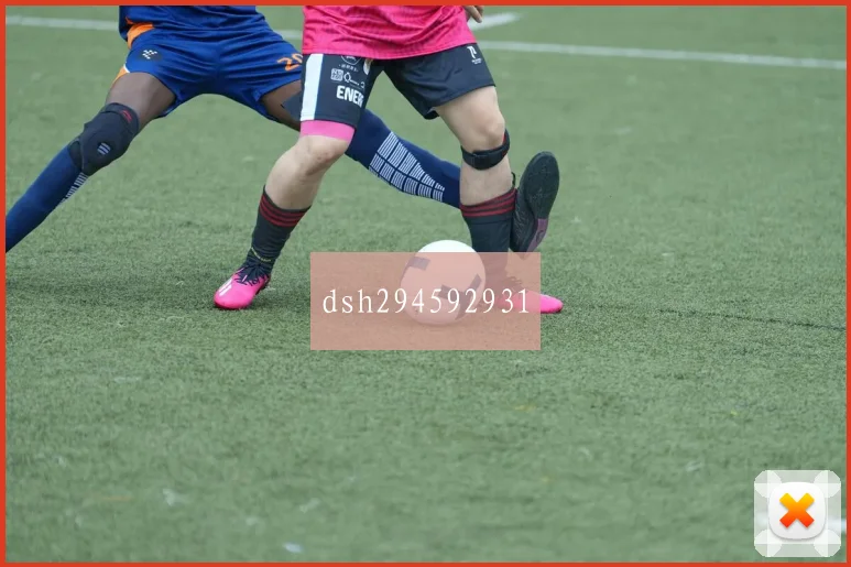 dsh294592931