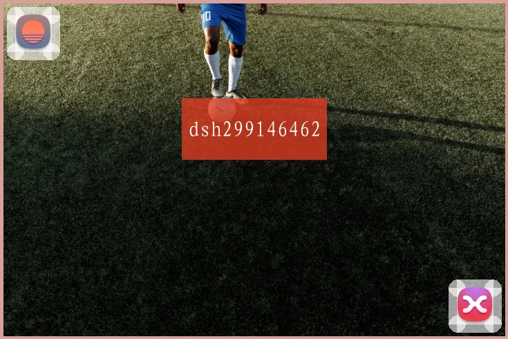 dsh299146462