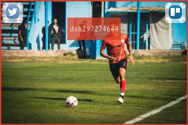 dsh297274644