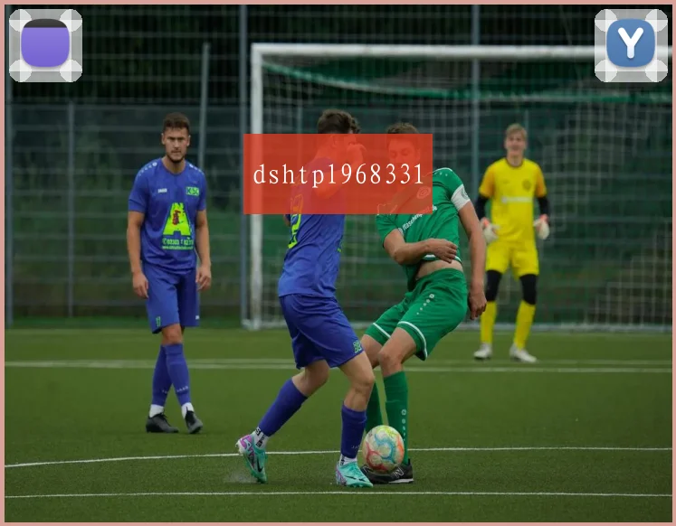 dshtpl968331