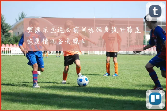 樊振东全运会前训练强度提升膝盖恢复情况备受瞩目